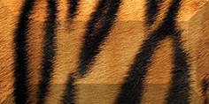 Africa Бордюр рельефный br1020D210-1 20х10 - фото - 1