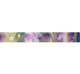 Crocus Бордюр B400D286 40х5 - фото - 1