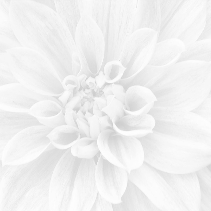 Crisantemo Панно из 3-х шт 36-05-00-463-0 60х60 - фото - 1