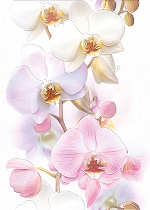 Tropicana Декор Orchids (TC2M051DT) 25х35 - фото - 1