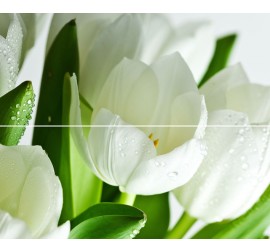 Arco Verde Tulipan Панно (из 2-х пл.) 50x60 - фото - 1