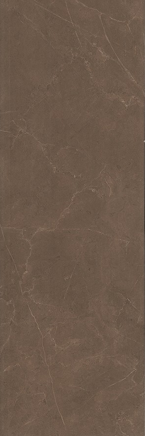 Низида Плитка настенная коричневый 12090R N 25х75 - фото - 1