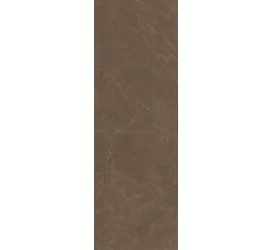 Низида Плитка настенная коричневый 12090R N 25х75 - фото - 1