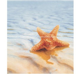 Dec Starfish 1 Panno (панно из 2-х шт) КПН16Starfish1 50х45 - фото - 1
