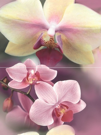 Blossom Панно P2D183 40х30 (из 2-х пл.) - фото - 1