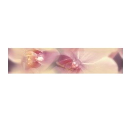 Blossom Бордюр B200D183 4,5х20 - фото - 1
