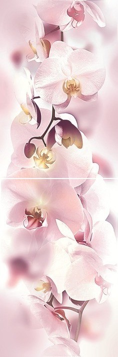 Orchid Панно P2D135 20х60 (из 2-х пл.) - фото - 1