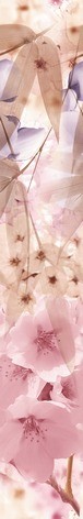 Sakura Бордюр B300D131 4,5х30 - фото - 1