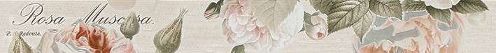 Garden Rose beige Бордюр 01 6,5х60 - фото - 1