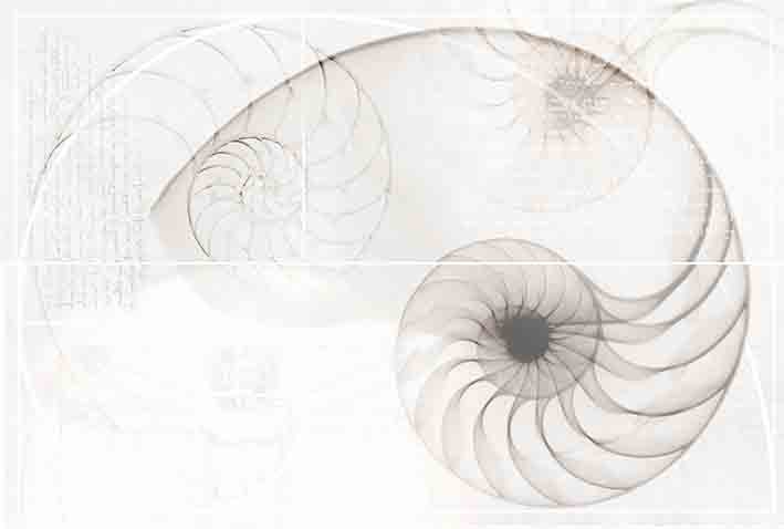 Nautilus панно ракушка многоцветный (NT2F453DT) 40x60 - фото - 1