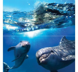Dolphins Панно 50x50 - фото - 1