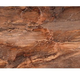 Trevi Плитка настенная коричневая (TYN111D) 30x45 - фото - 1
