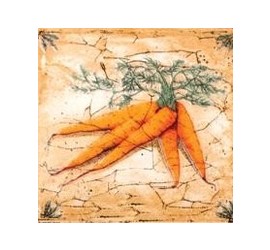 Гурман Декор морковь (D-496) 16,5х16,5 - фото - 1