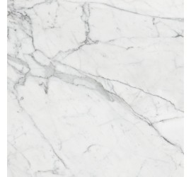 Marble Trend Керамогранит K-1000/LR/60x60x10/S1 Carrara - фото - 1