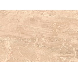 Eilat облицовочная плитка коричневая (EJN111D) 30x45 - фото - 1