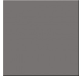 RW03 60х60 серый неполир - фото - 1