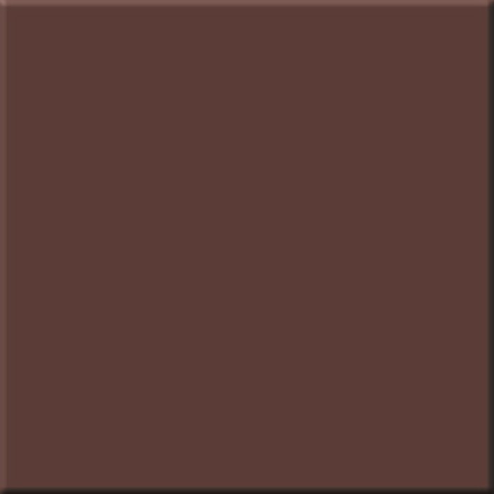 RW04 60х60 шоколадный полир - фото - 1