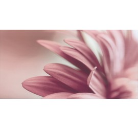 Sorenta bianco durst kwiaty A Декор 30x60 - фото - 1