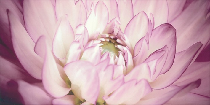 Sorenta mocca durst kwiaty В Декор 30x60 - фото - 1