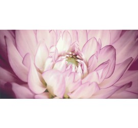 Sorenta mocca durst kwiaty В Декор 30x60 - фото - 1