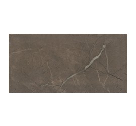 Эль-Реаль коричневый грань 19053 20х9,9 - фото - 1