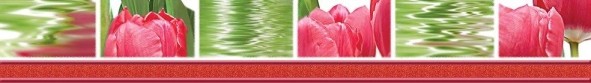 Тюльпаны Бордюр 77-05-47-160-0 50х7 - фото - 1
