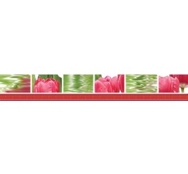 Тюльпаны Бордюр 77-05-47-160-0 50х7 - фото - 1
