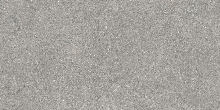 Newcon Керамогранит Серебристо-серый K945752R0001VTE0 30х60 - фото - 1