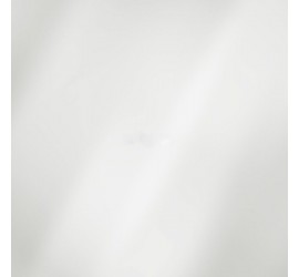 Панель ПВХ белая глянцевая 3,0*0,25 9мм - фото - 3