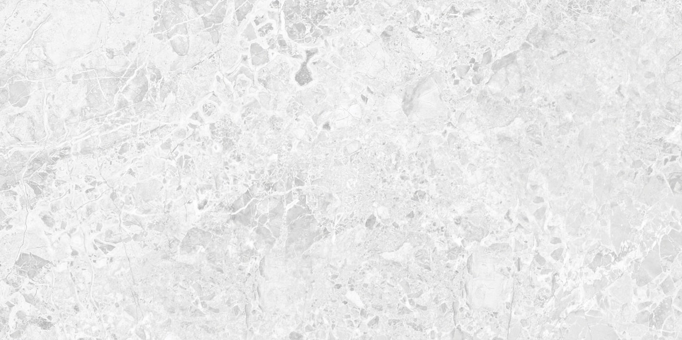Brecia Adonis Grey Керамогранит светло-серый 60x120 полированный - фото - 1