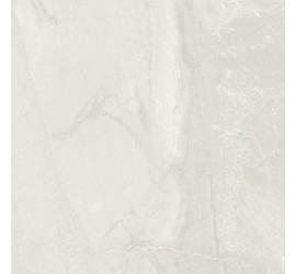 Roma Grey Керамогранит светло-серый 60x60 полированный - фото - 1