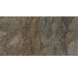 Сильвер Рут серый обрезной DL502900R 60х119,5 - фото - 1