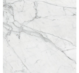 Marble Trend Керамогранит K-1000/MR/60x120 Carrara - фото - 1