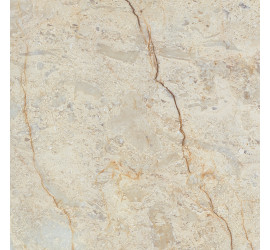 Siera Керамогранит бежевый SR 0049 60х60 - фото - 1