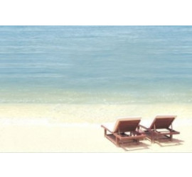 Mauritius Декор 20*30 (D5D138)	 - фото - 1